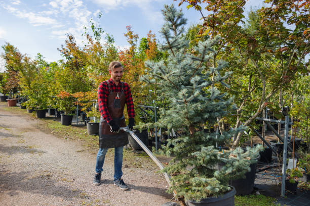 Best Lawn Watering Services  in Reinbeck, IA